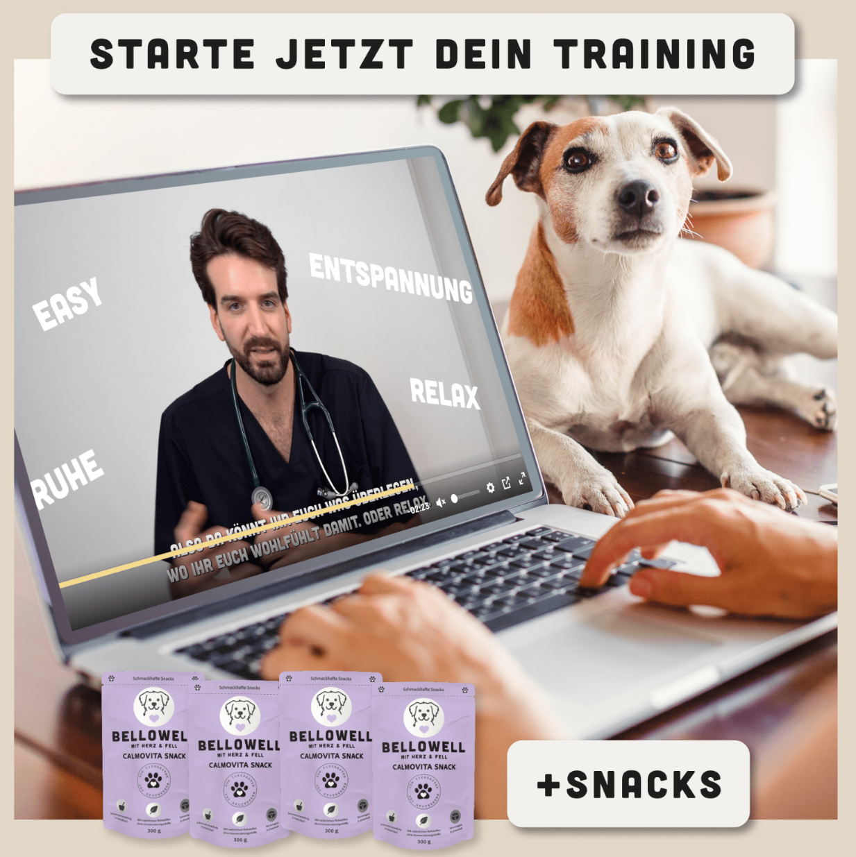 12 - Wochen - Entspannungs - Programm - BelloWell