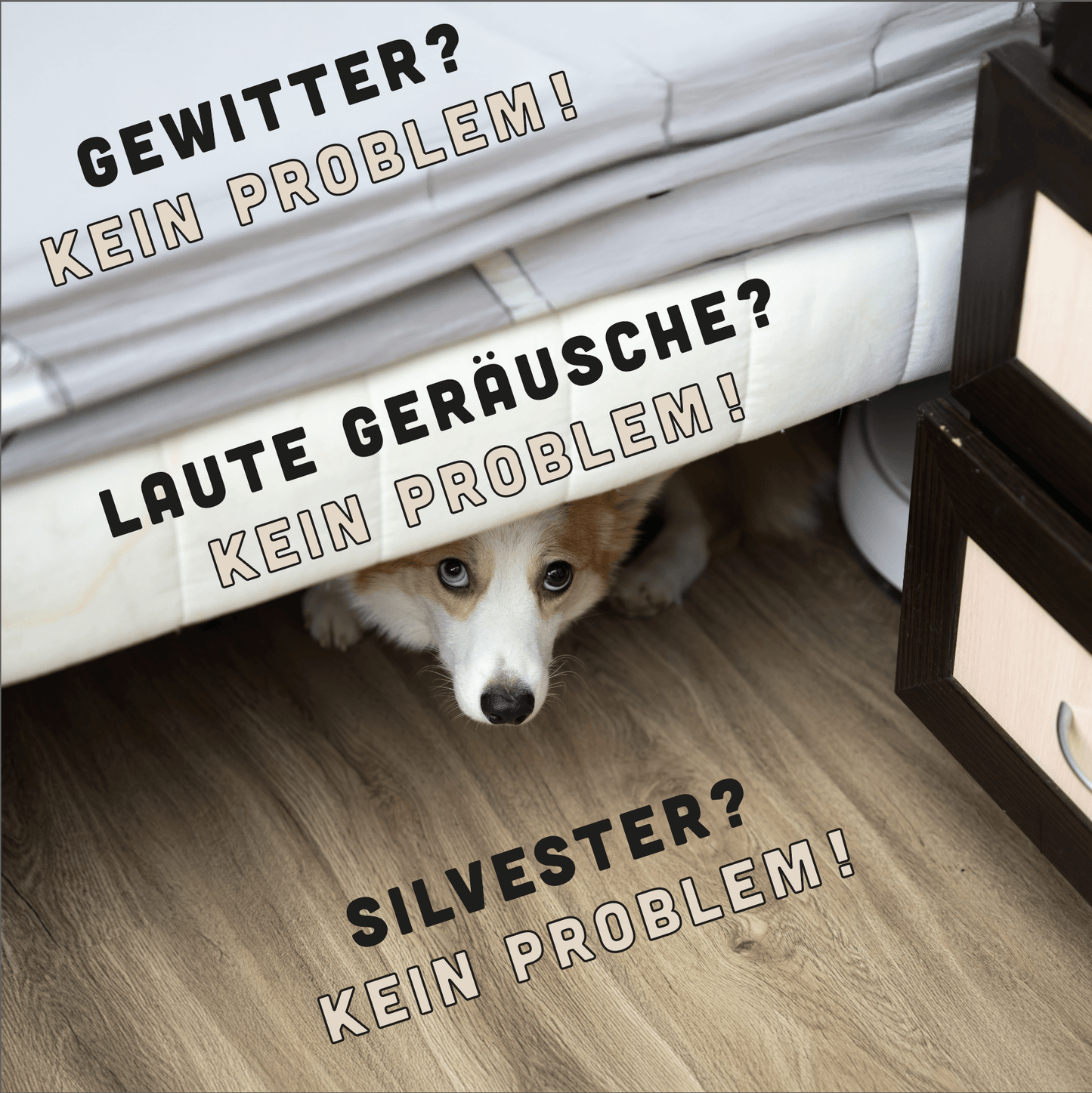 12 - Wochen - Entspannungs - Programm - BelloWell