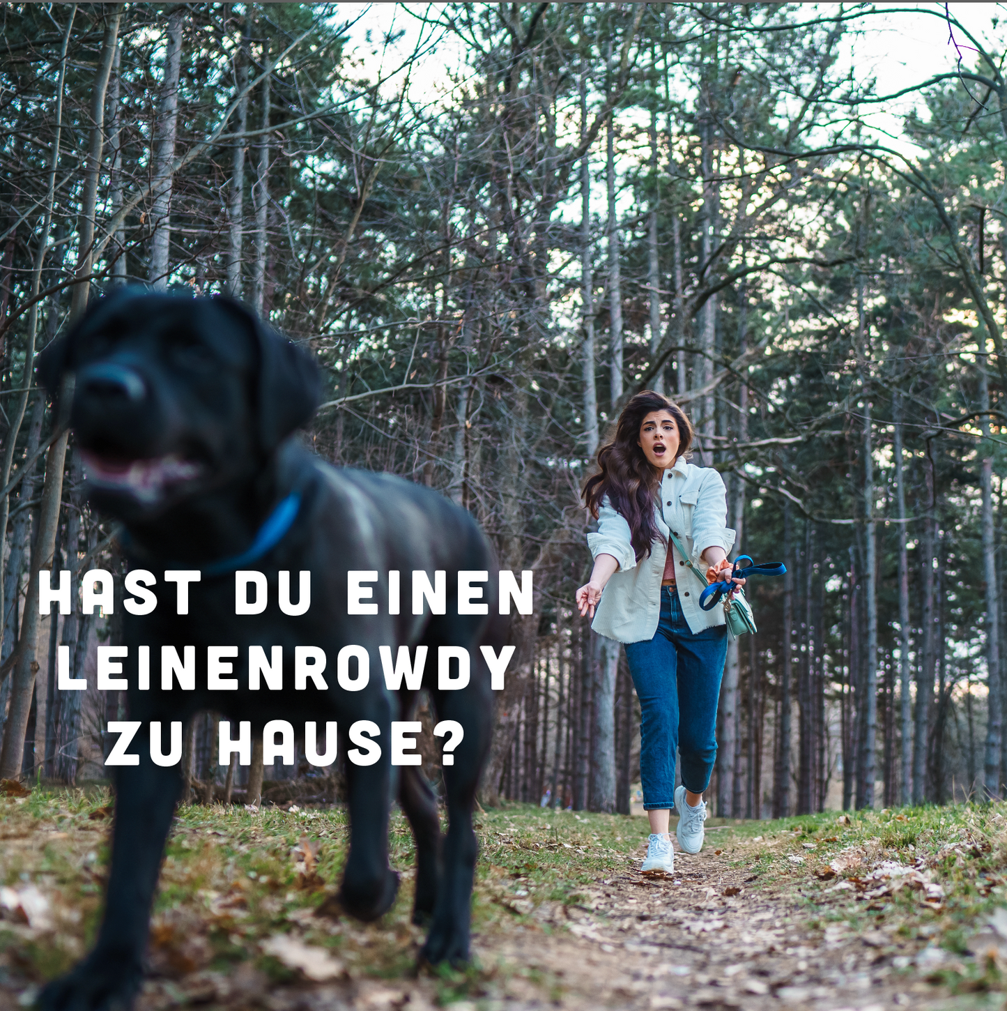 12-Wochen-Entspannungs-Programm