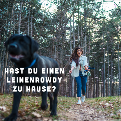 12-Wochen-Entspannungs-Programm