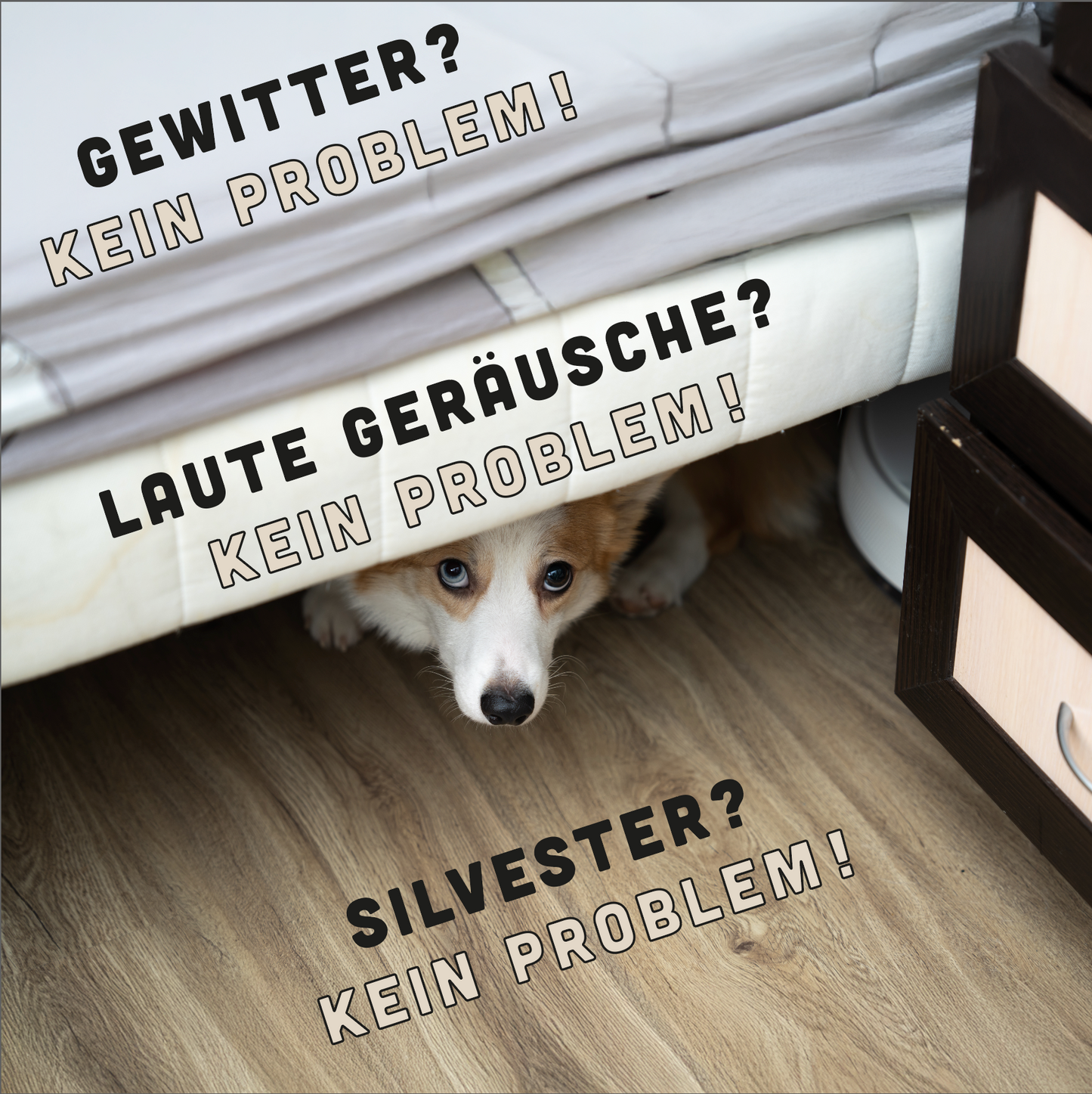 12-Wochen-Entspannungs-Programm