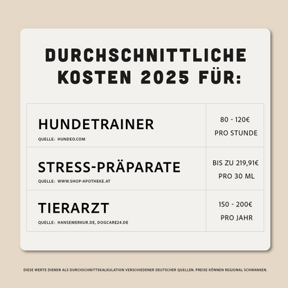 12-Wochen-Entspannungs-Programm