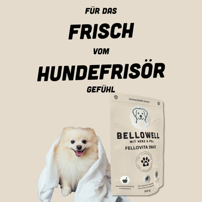 FelloVita Snack - BelloWell