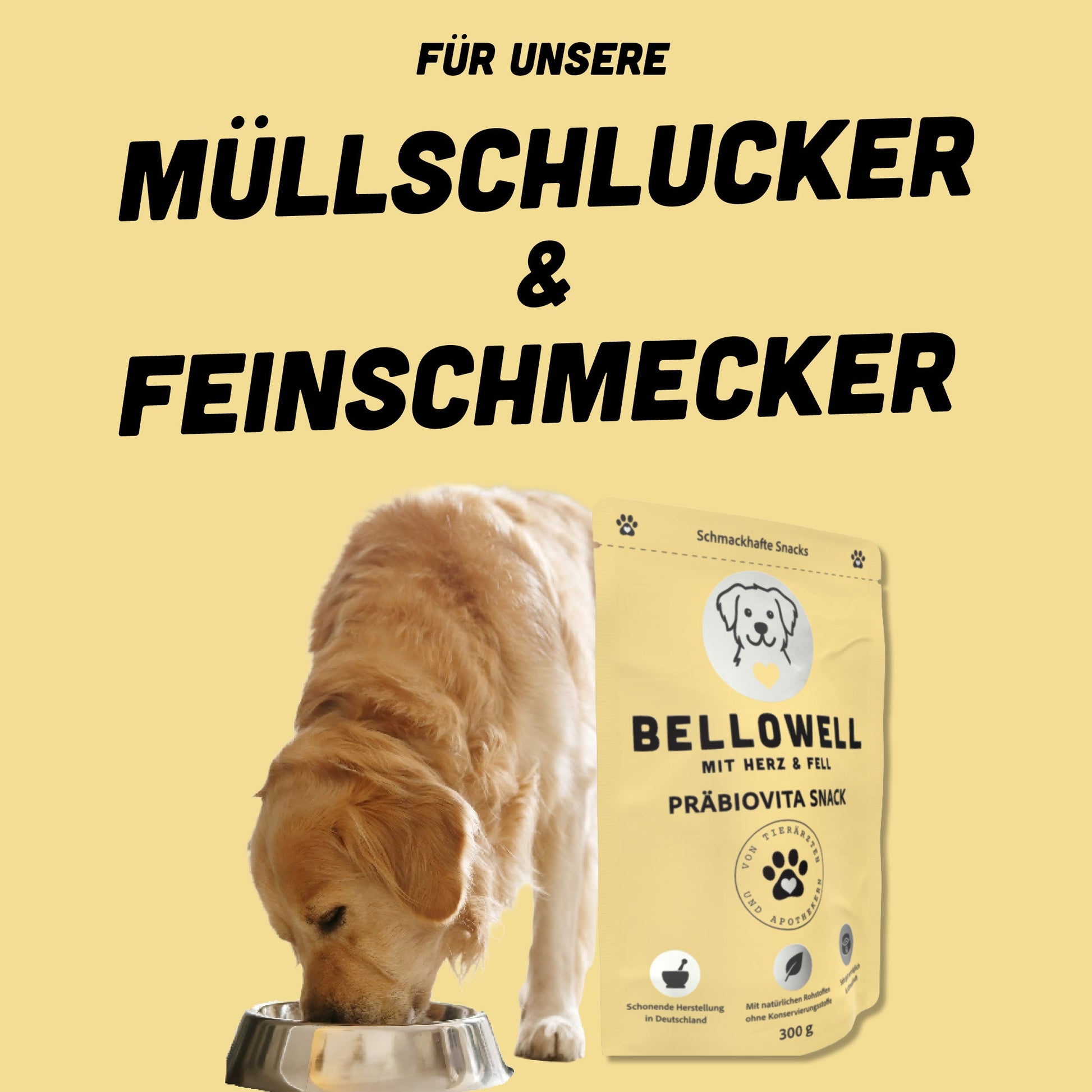 PräbioVita Snack - BelloWell