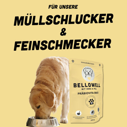 PräbioVita Snack - BelloWell