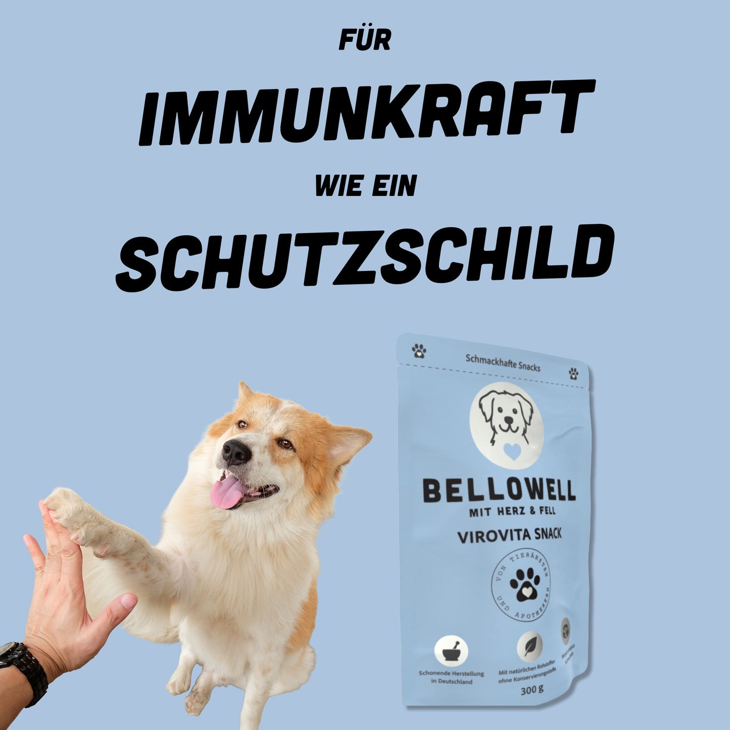 ViroVita Snack - BelloWell